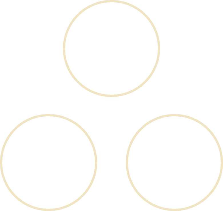 安全 Safety 品質 Safety 機動力 Mobility